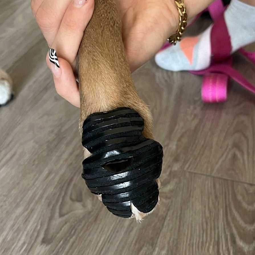 PawPadsRX