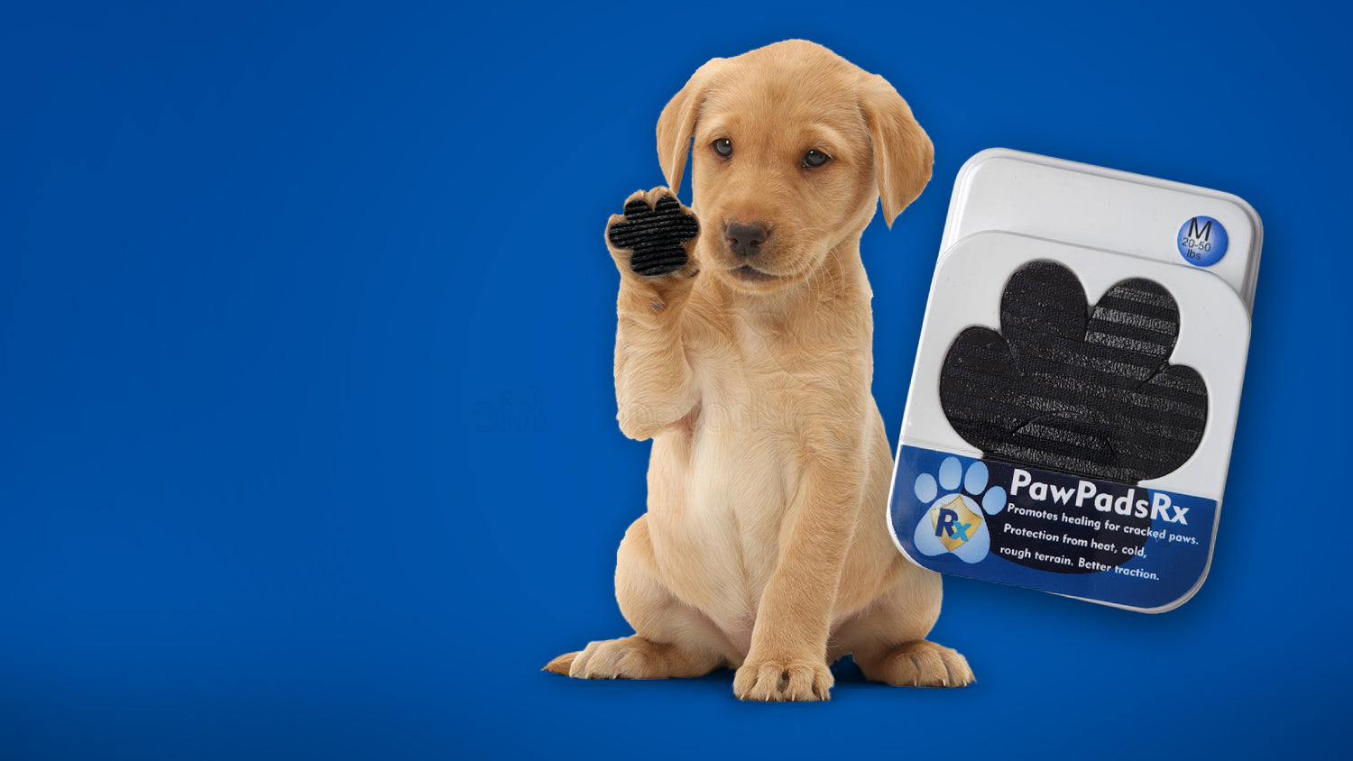 Sticky pads for outlet dogs feet