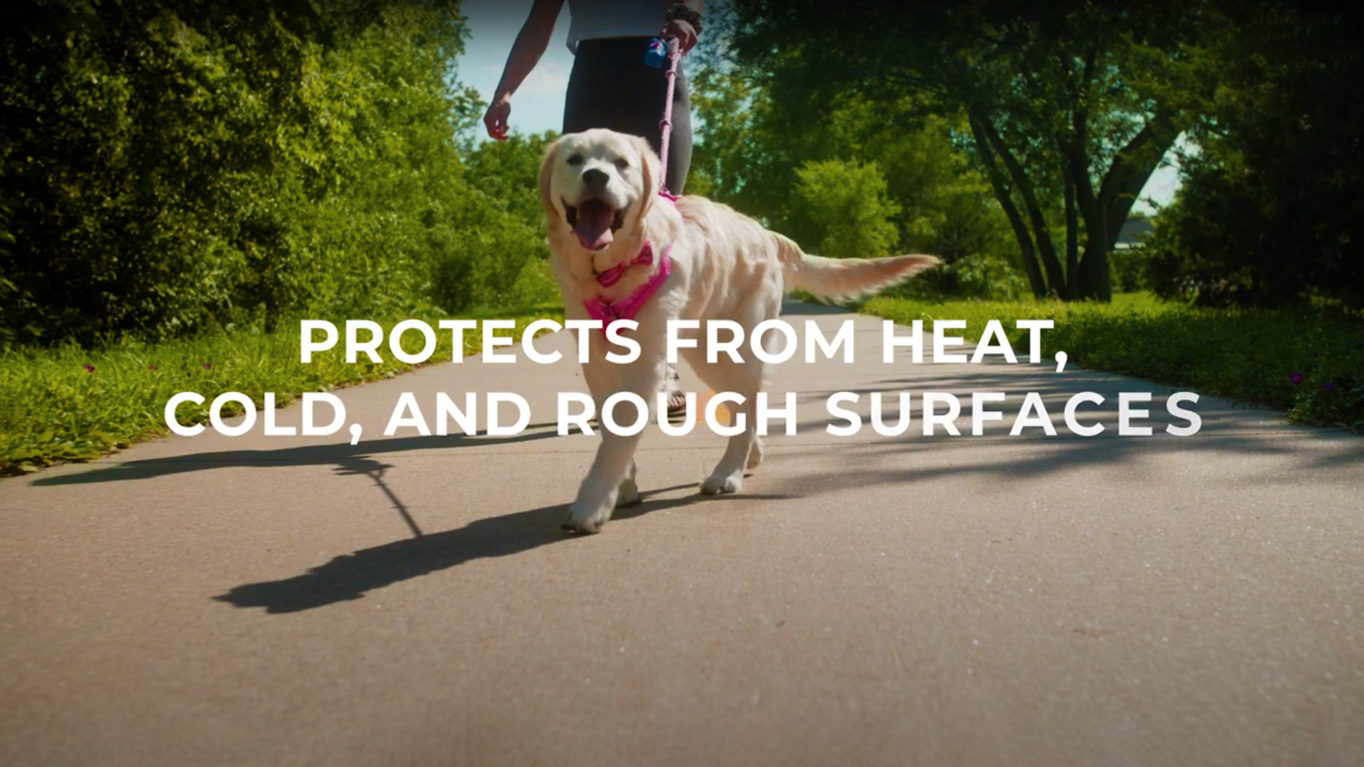 PawPadsRx - Dog Paw Protection for Heat, Cold, and Traction